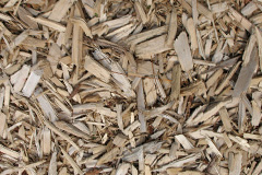 biomass boilers Torlundy